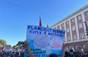 Nje-protestues-i-ri-mban-ne-dore-nje-pankarte-kunder-regjimit-te-36-viteve-dhe-Revolucionit-te-Flamingove.-Foto_Nensi-Bogdani