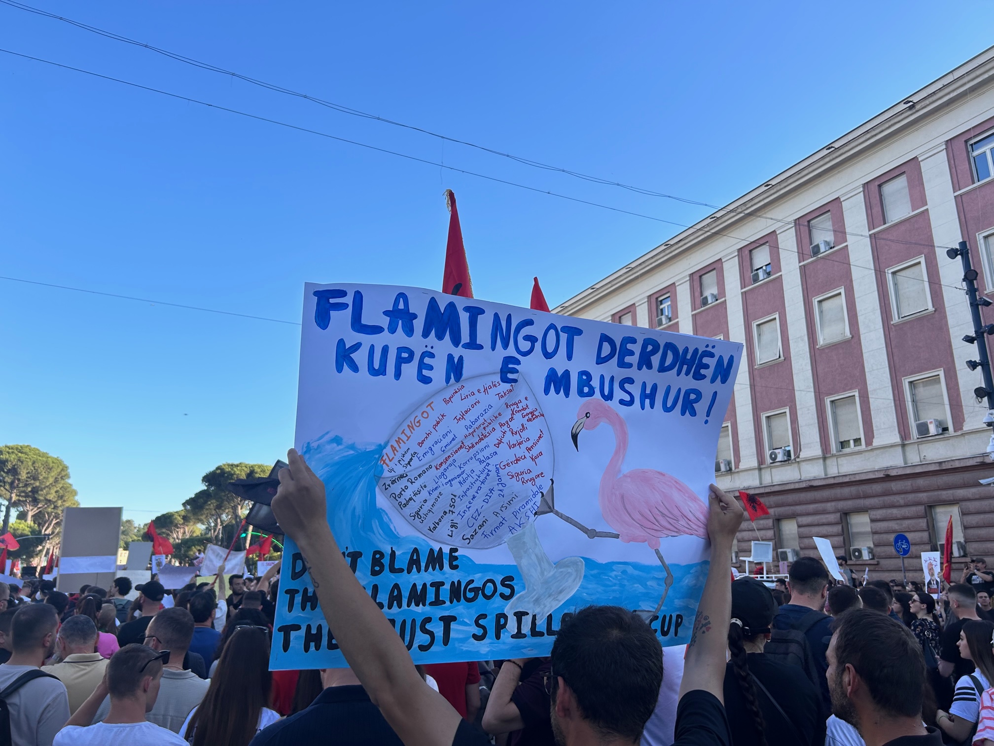 Nje-protestues-i-ri-mban-ne-dore-nje-pankarte-kunder-regjimit-te-36-viteve-dhe-Revolucionit-te-Flamingove.-Foto_Nensi-Bogdani