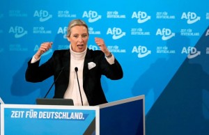 afd