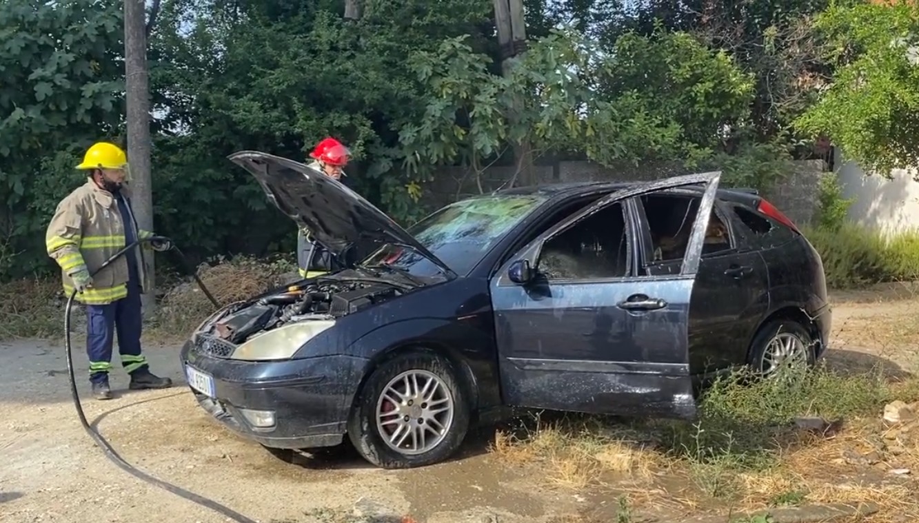 automjeti i djegur