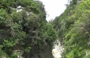 guva kucove