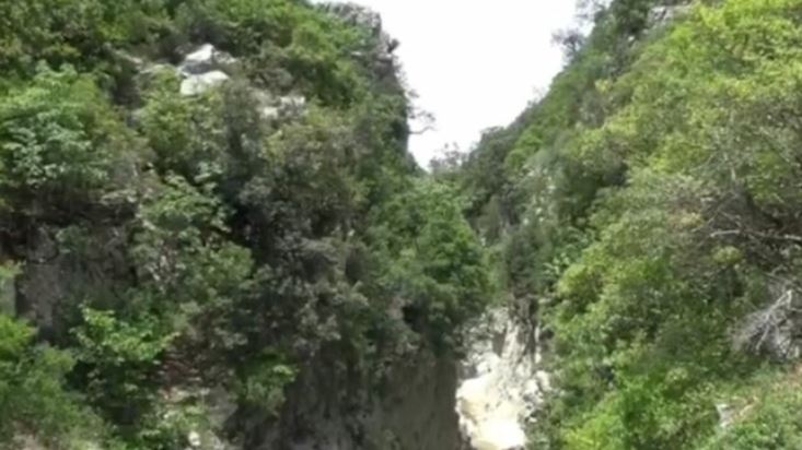 guva kucove