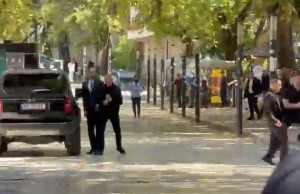 lamellari