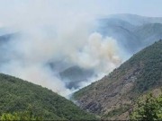 Zjarr në Mat, flakët përfshijnë sipërfaqe me bimësi! Dyshohet për zjarrvënie të qëllimshme