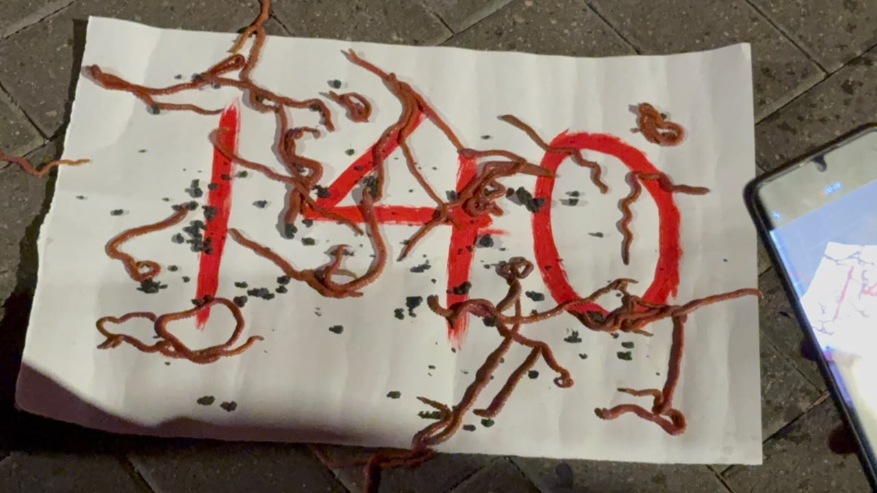 nuk na perfaqesoni protesta 55 140 krimba shenimi (3)