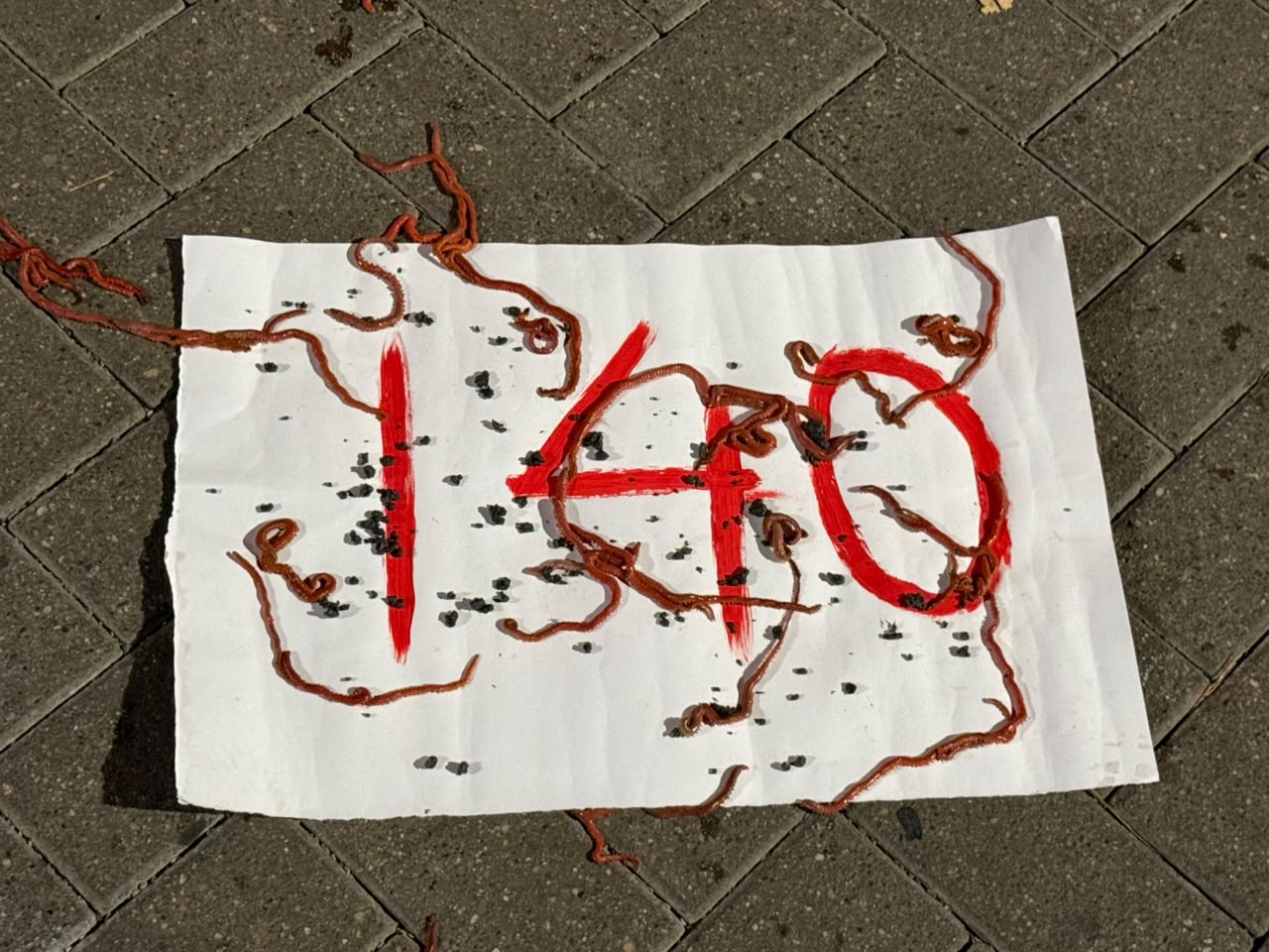 nuk na perfaqesoni protesta 55 140 krimba shenimi (4)