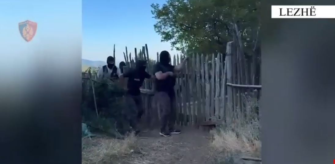 policia aksioni lezhe