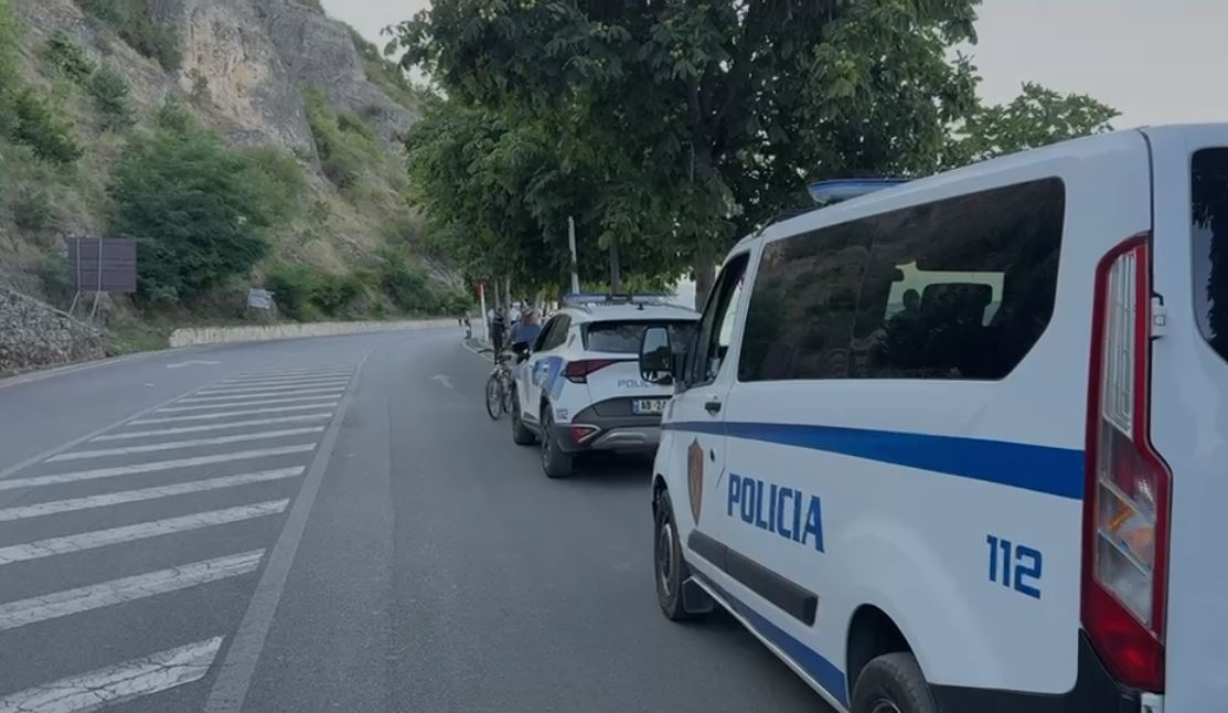 policia pogradec