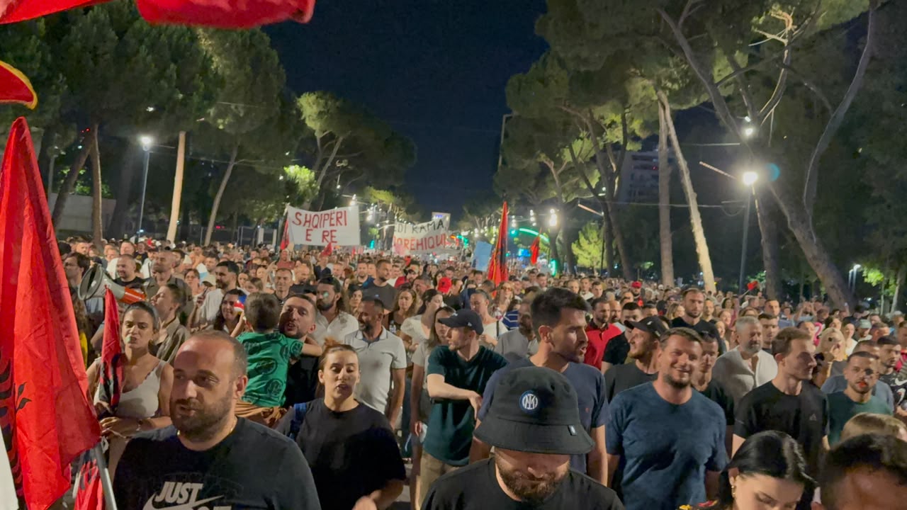 protesta e 39 marshimi (12)
