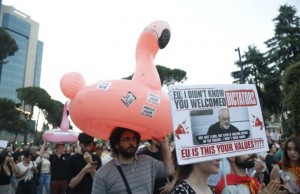 protesta flamingo