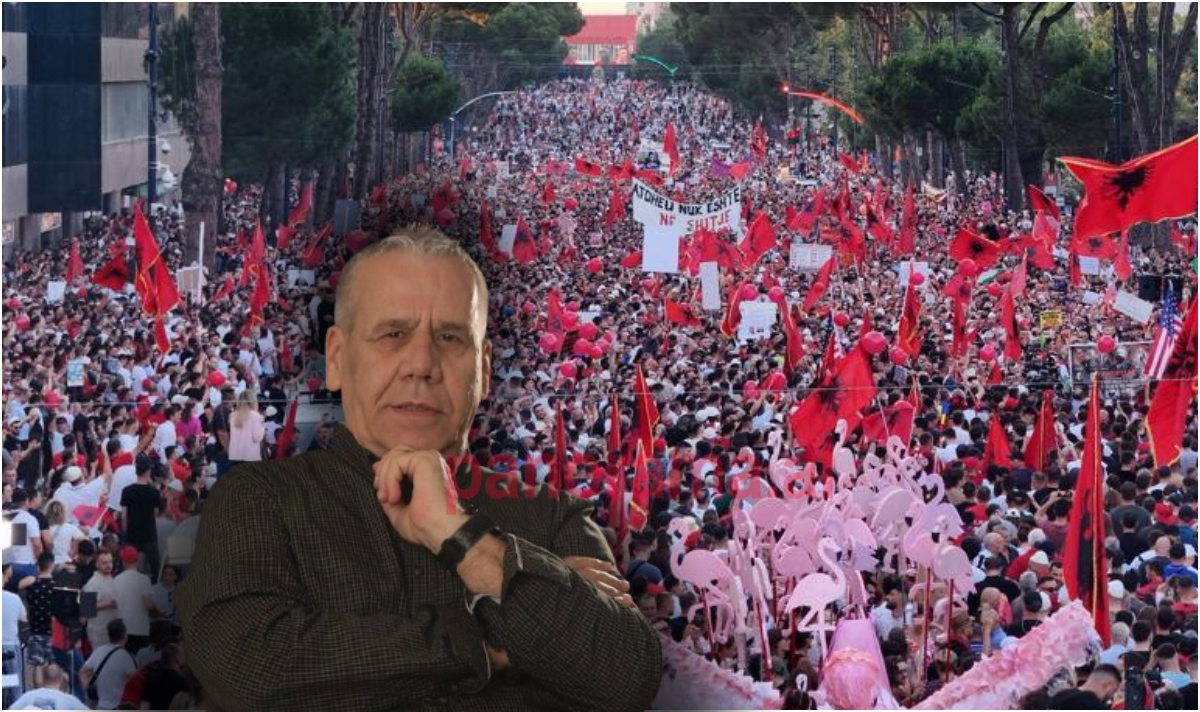 protestat kim mehmeti