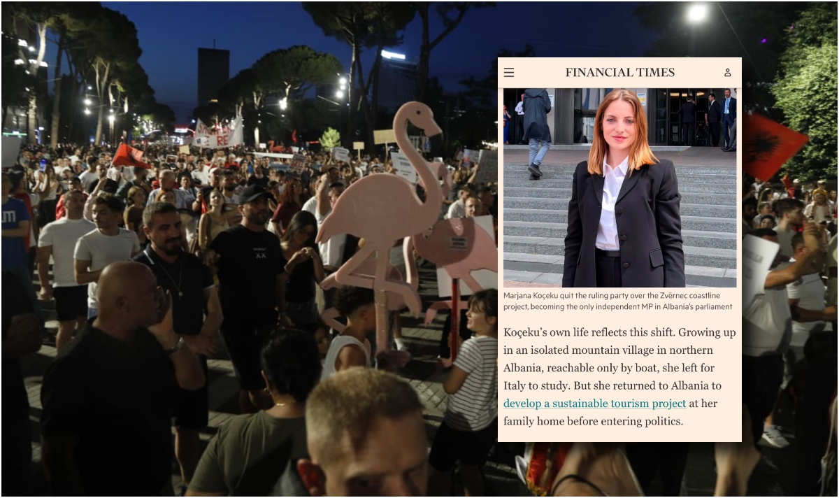 protestat koceku