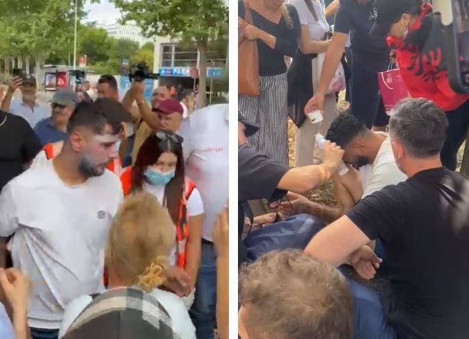 protestuesi