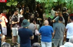 protestuesit