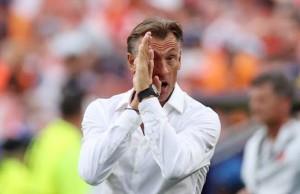renard