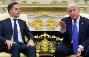 trump rutte
