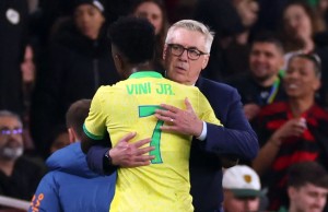 vini anceloti