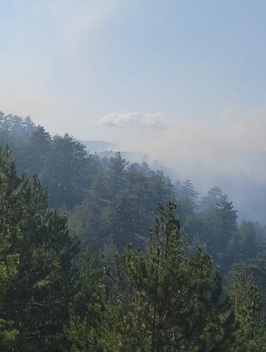 voskopoje2