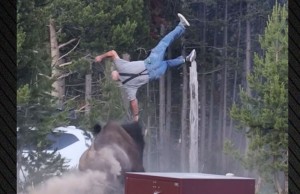 yellowstone