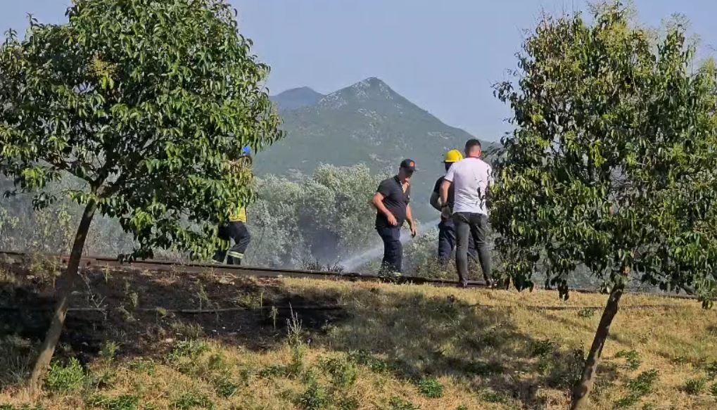 zjarri7