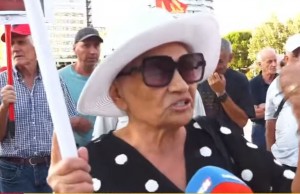 zonja protetse
